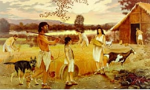 papel social papel social