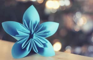 Bodas de papel Bodas de papel