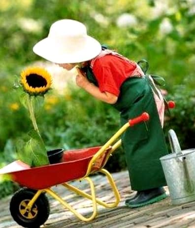 garota dos porquês garota dos porquês