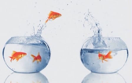 paradigmas paradigmas