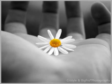 1605501ec06127240f983be