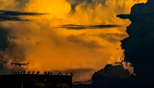 10725181736_bd70ac1db2