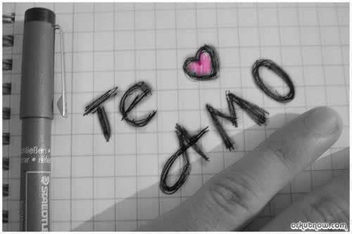 Dizer que te Amo Dizer que te Amo