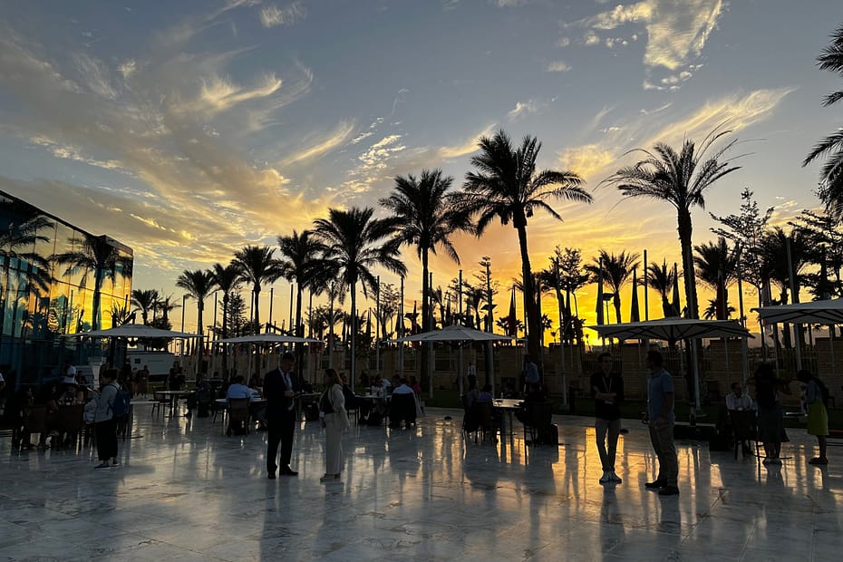 COP27 representatividade